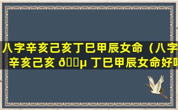 八字辛亥己亥丁巳甲辰女命（八字辛亥己亥 🌵 丁巳甲辰女命好吗）